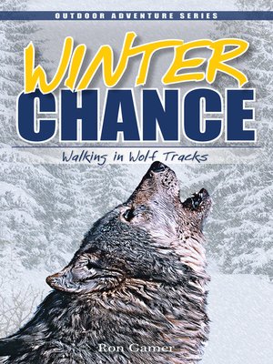 cover image of Winter Chance